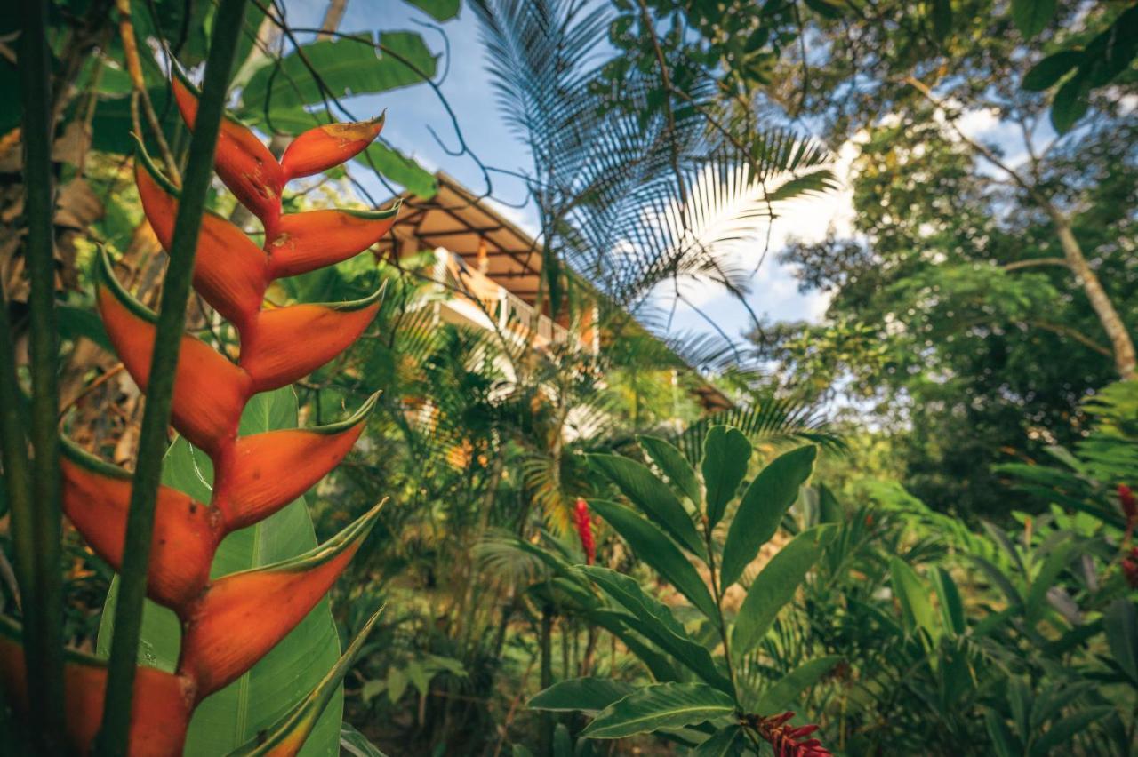 Huingos Eco Lodge Тарапото Экстерьер фото