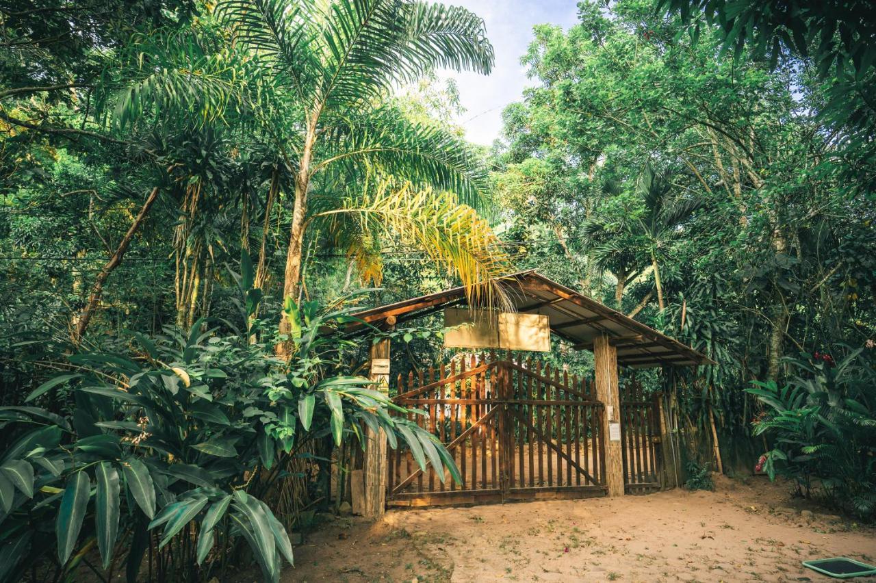 Huingos Eco Lodge Тарапото Экстерьер фото