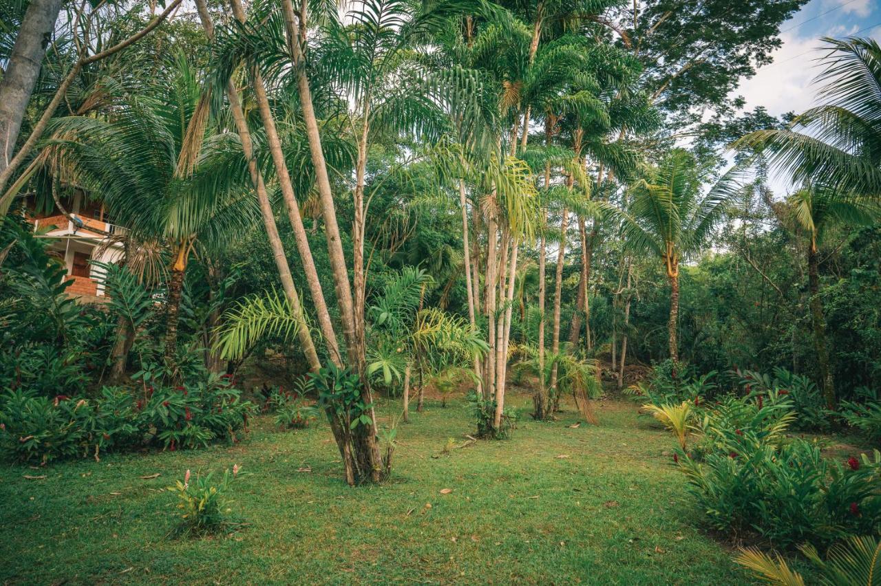 Huingos Eco Lodge Тарапото Экстерьер фото