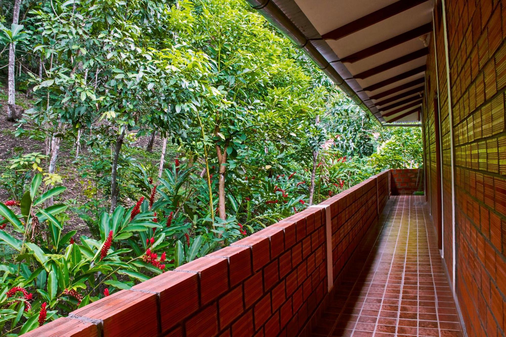 Huingos Eco Lodge Тарапото Экстерьер фото
