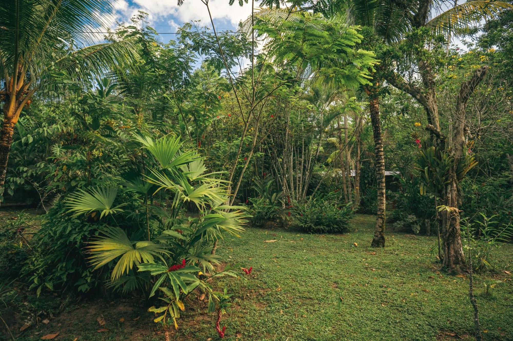 Huingos Eco Lodge Тарапото Экстерьер фото