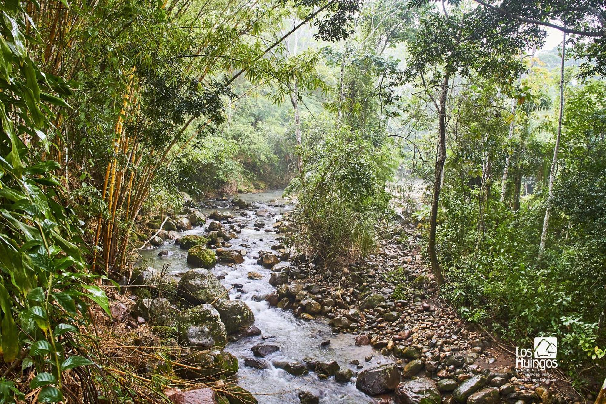 Huingos Eco Lodge Тарапото Экстерьер фото