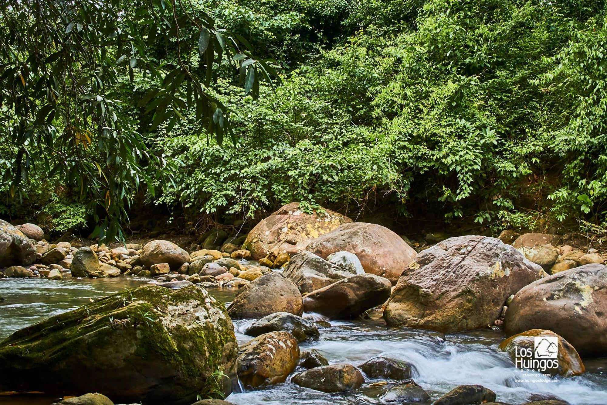 Huingos Eco Lodge Тарапото Экстерьер фото